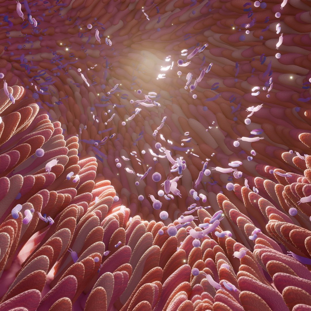 Gut Health