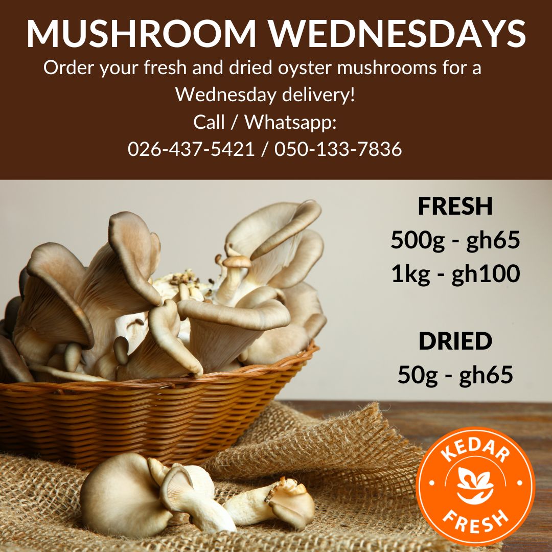 Kedar Oyster Mushrooms