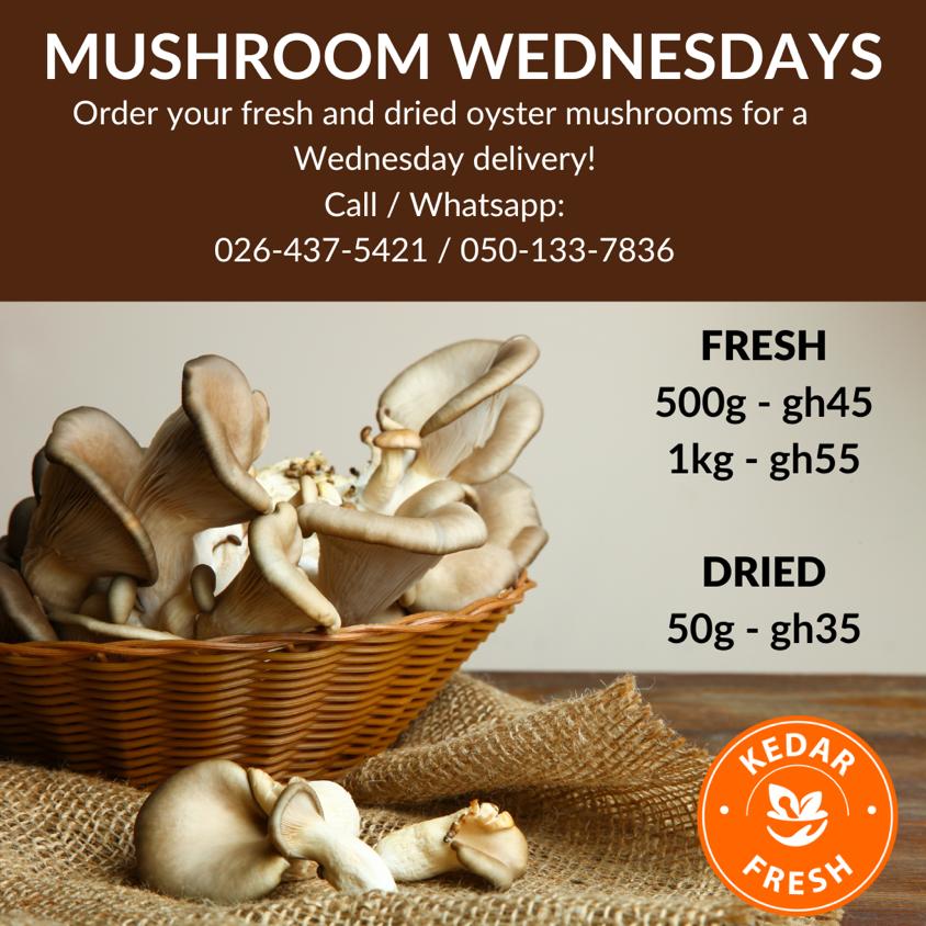 Kedar Oyster Mushrooms