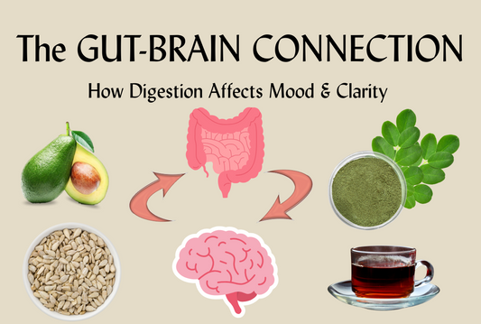 The Gut-Brain Connection: How Digestion Affects Mood and Mental Clarity